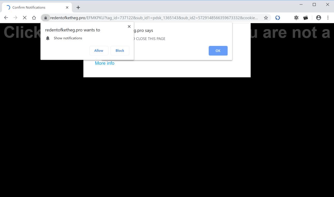 Image: Chrome browser is redirected to Redentofketheg.pro