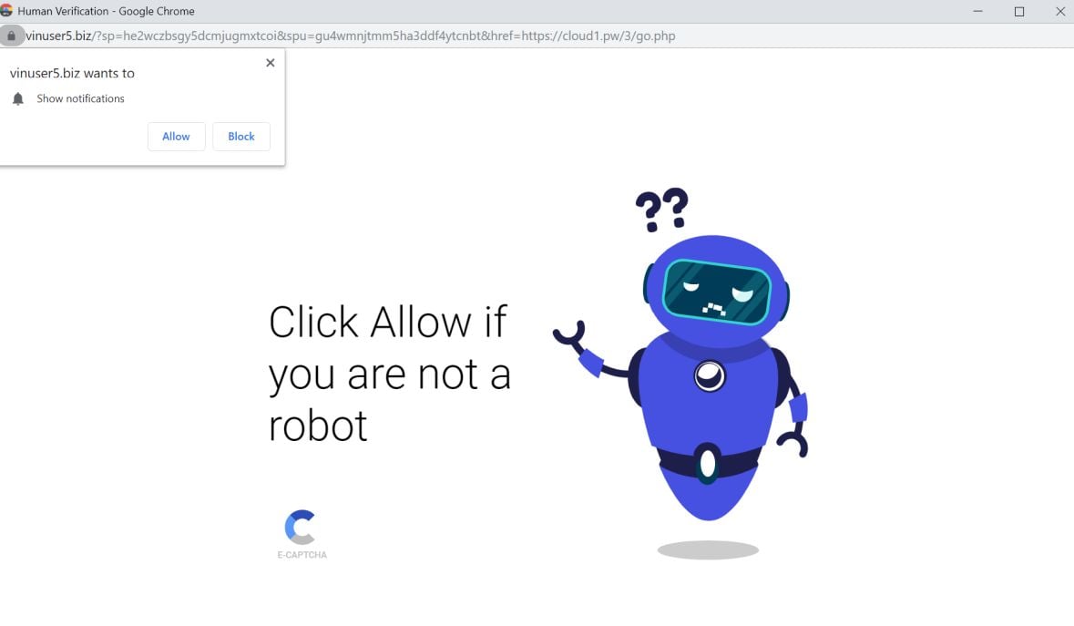 Image: Chrome browser is redirected to Vinuser5.biz