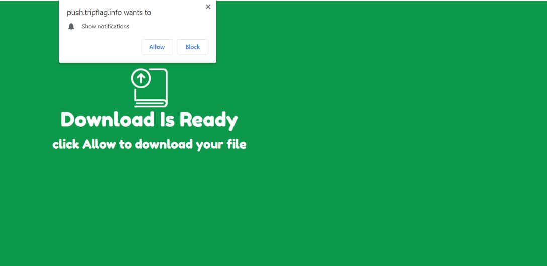 Image: Chrome browser is redirected to Push.tripflag.info