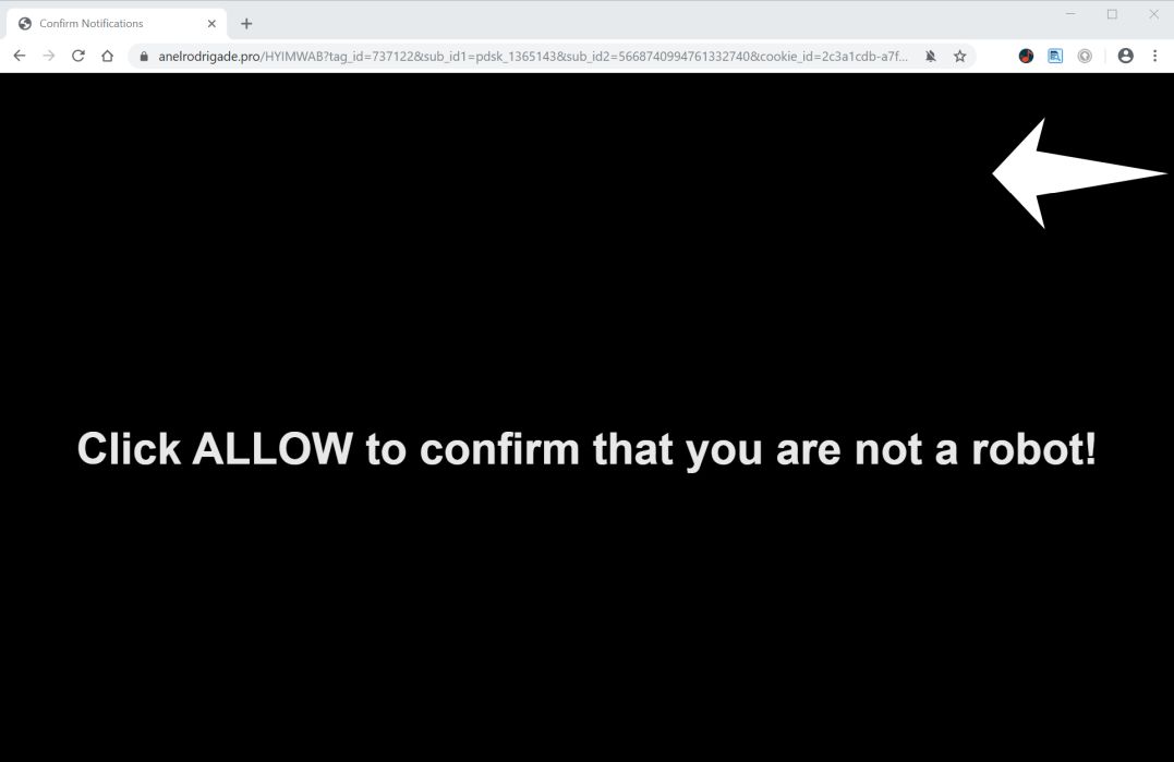 Image: Chrome browser is redirected to Anelrodrigade.pro