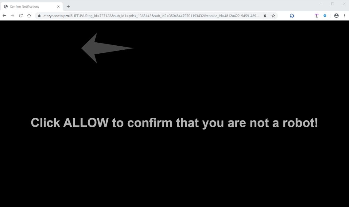 Image: Chrome browser is redirected to Etarynoneta.pro