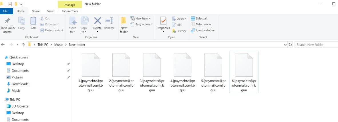 Image: [paymebtc@protonmail.com].bguu Ransomware