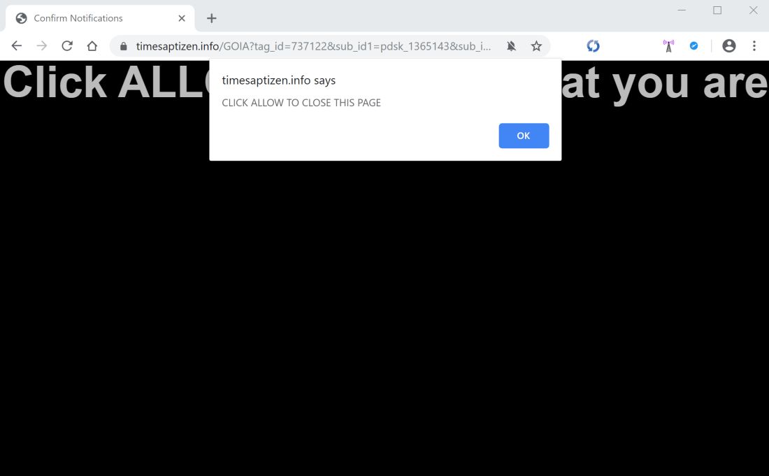 Image: Chrome browser is redirected to Timesaptizen.info