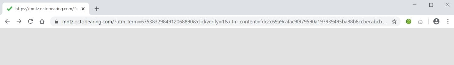  Image: Chrome browser is redirected to Octobearing.com
