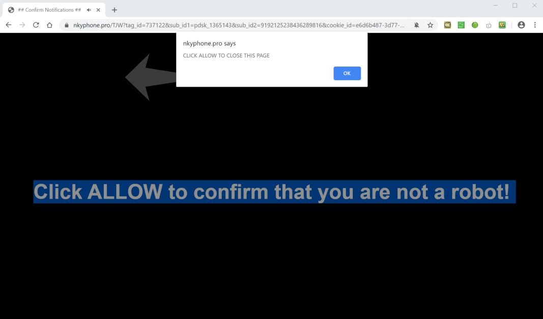 Image: Chrome browser is redirected to Nkyphone.pro