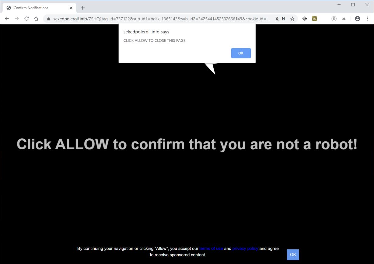 Image: Chrome browser is redirected to Sekedpoleroll.info