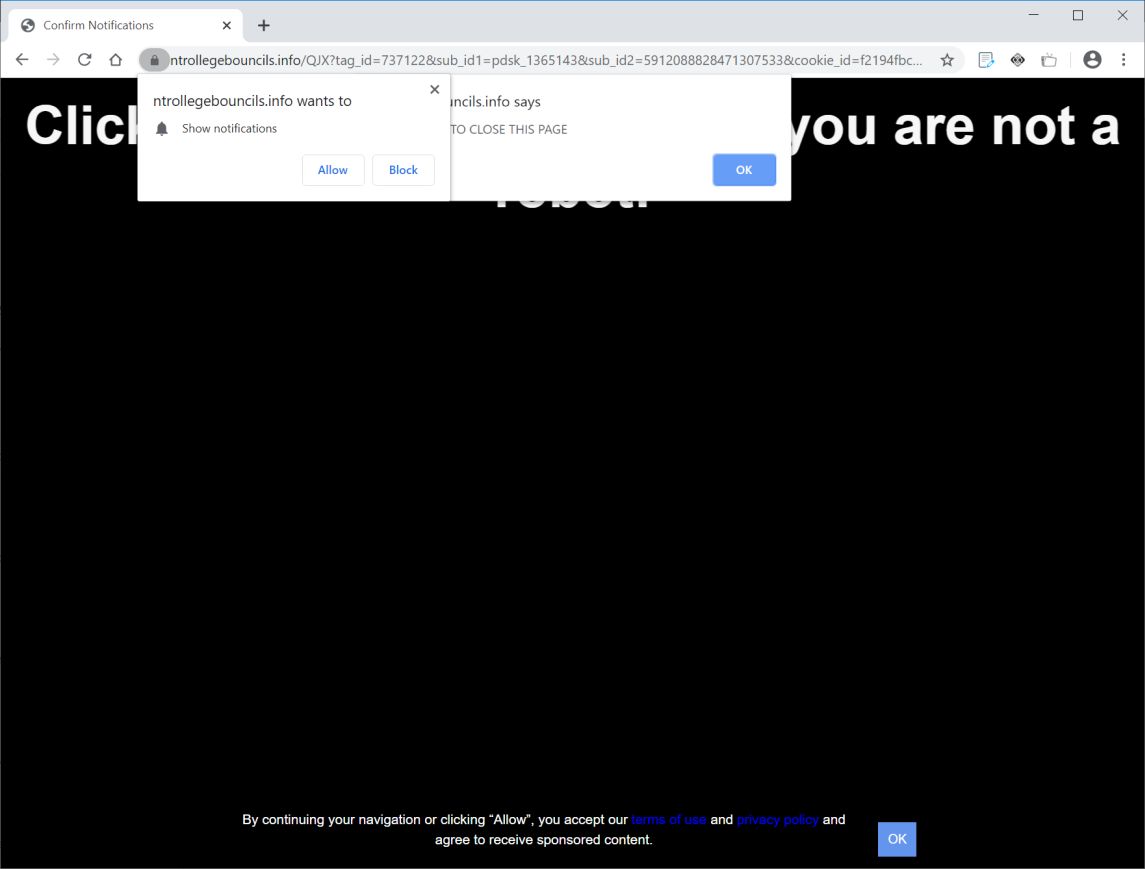 Image: Chrome browser is redirected to Ntrollegebouncils.info