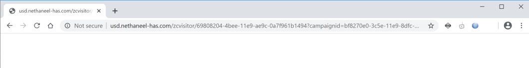 Image: Chrome browser is redirected to Usd.nethaneel-has.com