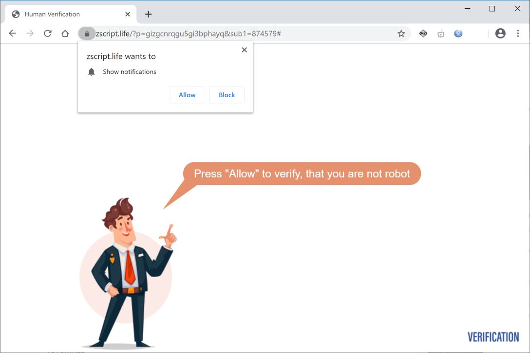 Image: Chrome browser is redirected to Zscript.life
