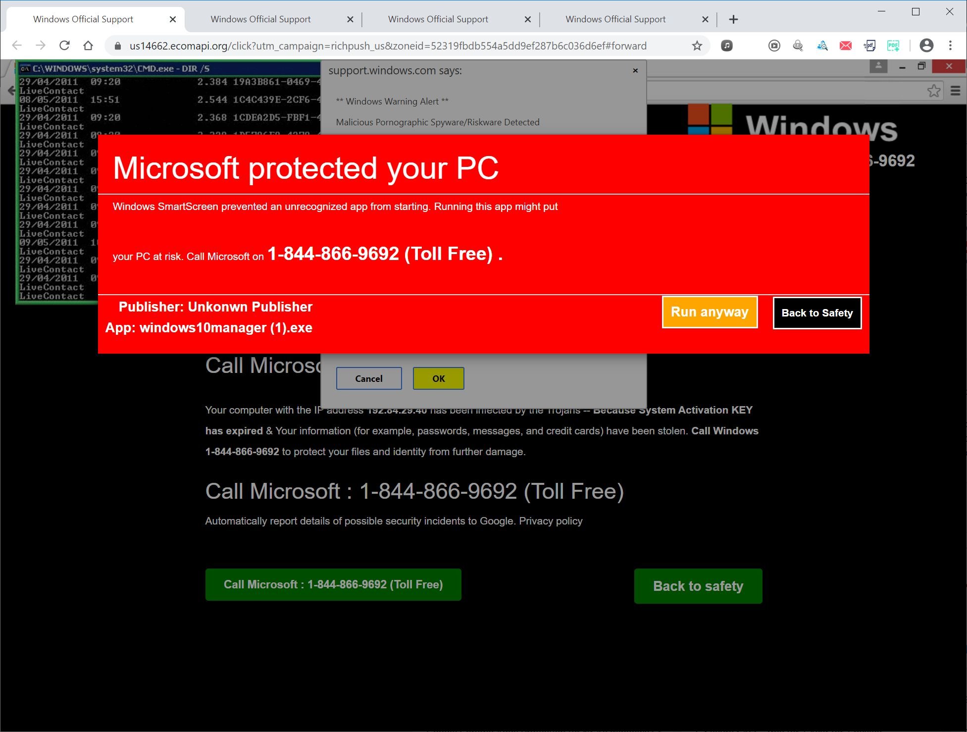 Microsoft Scam