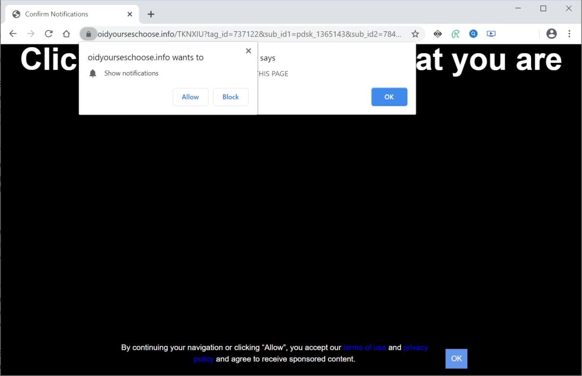 Image: Chrome browser is redirected to Oidyourseschoose.info