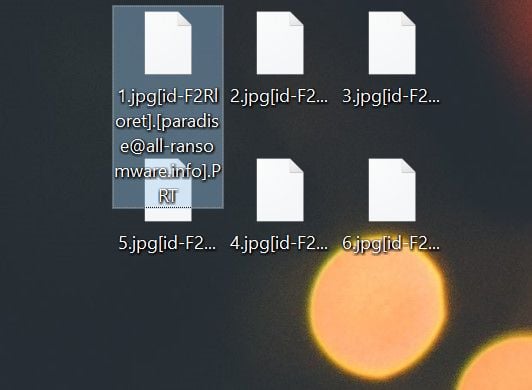 Image: [paradise@all-ransomware.info].PRT ransomware