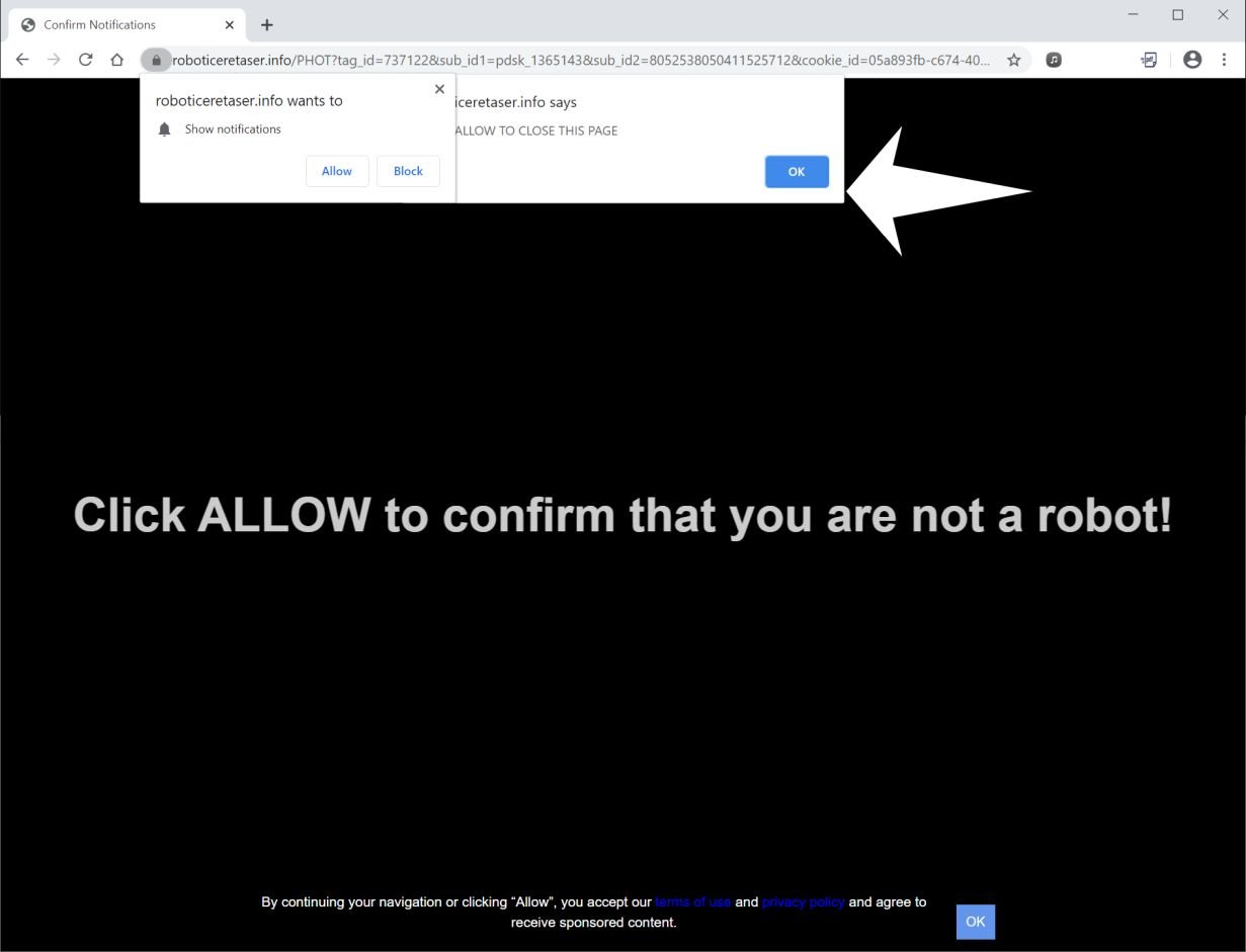 Image: Chrome browser is redirected to Roboticeretaser.info