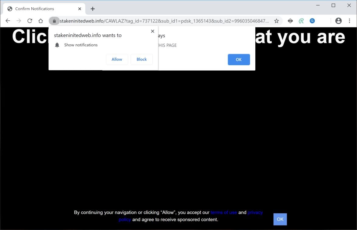 Image: Chrome browser is redirected to Stakeninitedweb.info