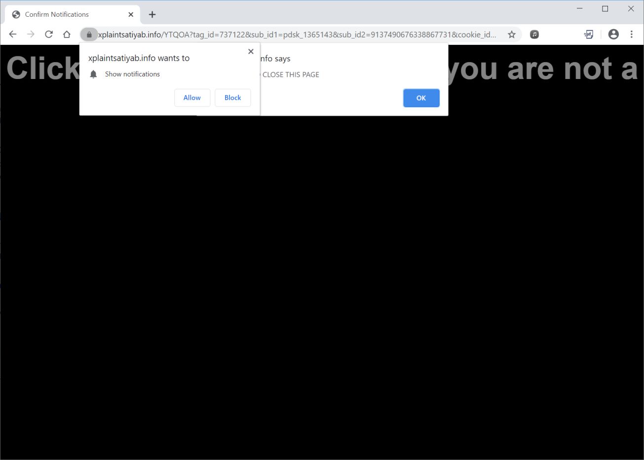 Image: Chrome browser is redirected to Xplaintsatiyab.info