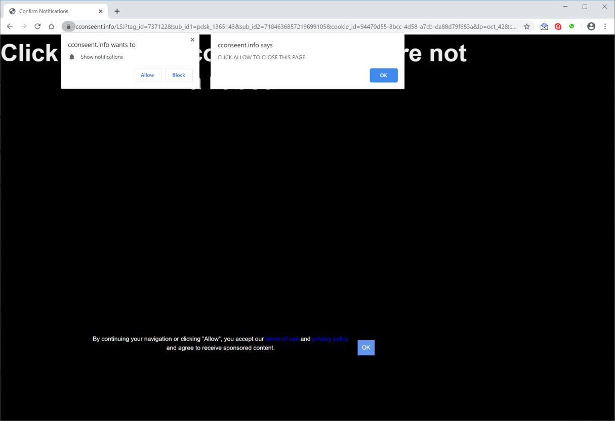 Image: Chrome browser is redirected to Cconseent.info