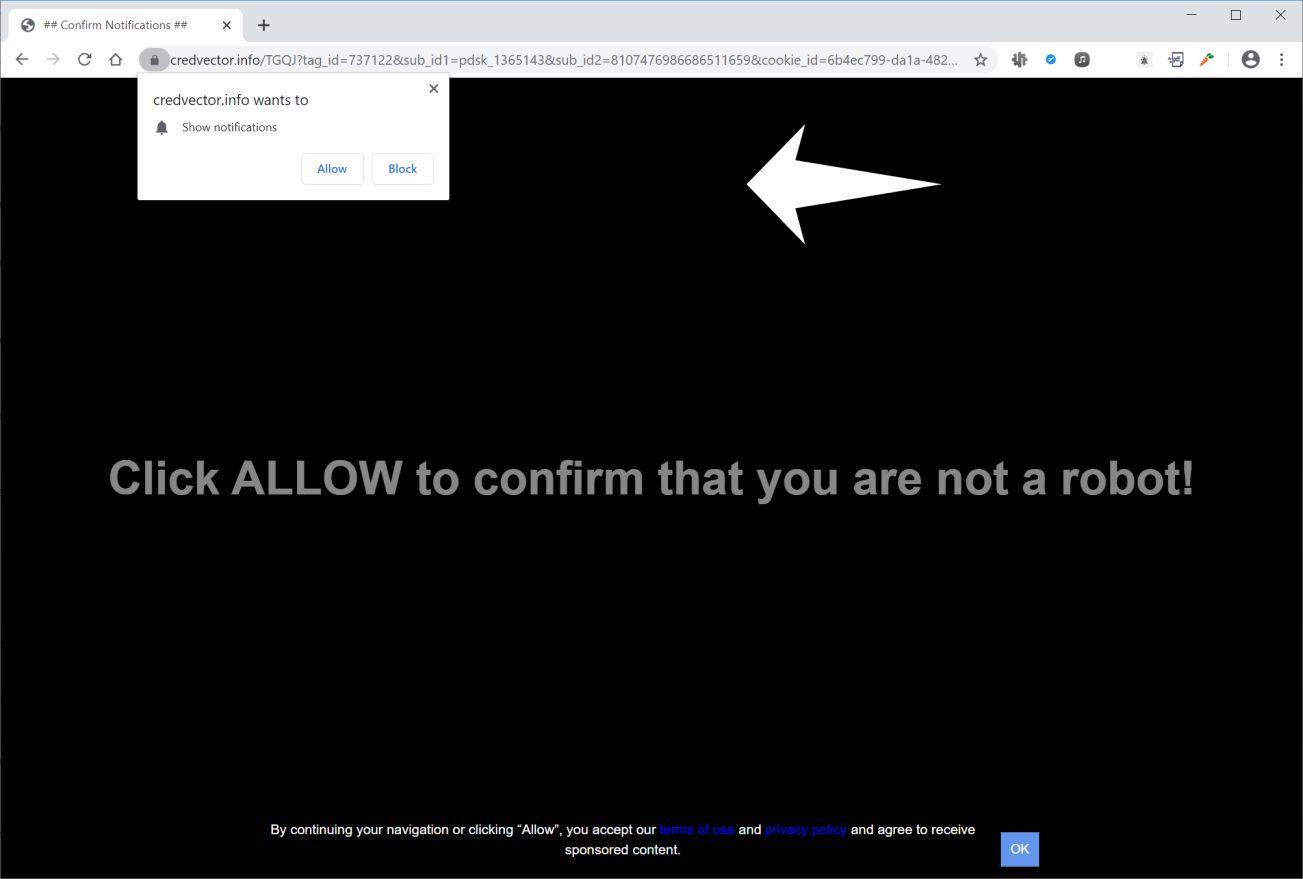 Image: Chrome browser is redirected to Credvector.info