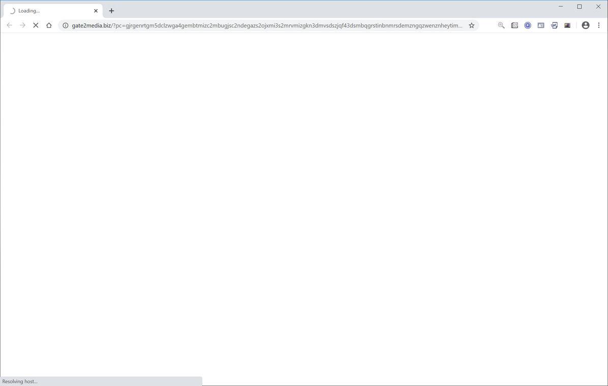 Image: Chrome browser is redirected to Gate2media.biz