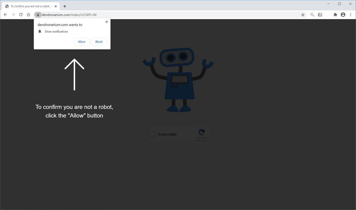 Image: Chrome browser is redirected to Dendronarium.com