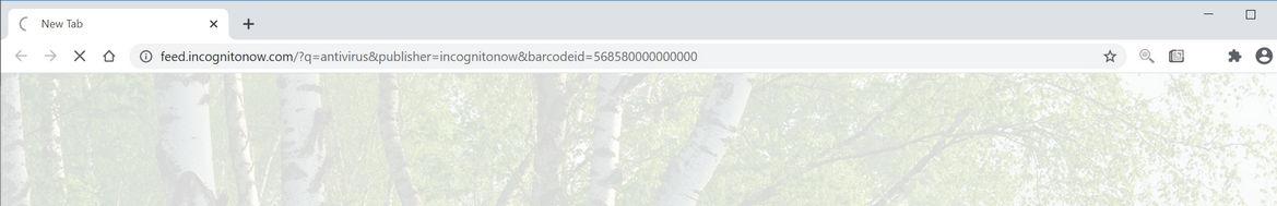 Image: Chrome browser is redirected to IncognitoNow
