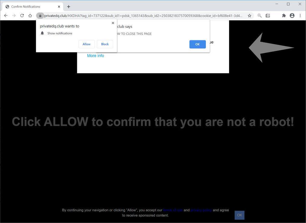 Image: Chrome browser is redirected to Privatedq.club