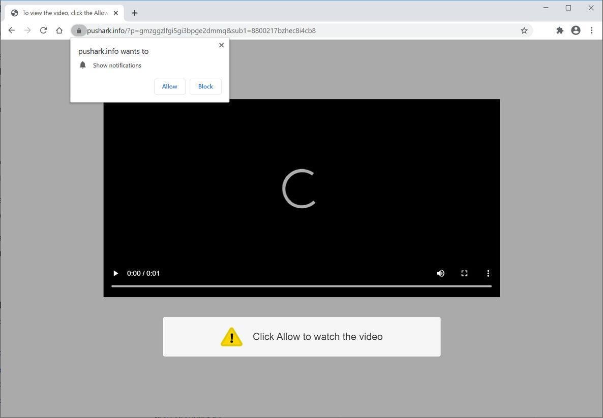 Image: Chrome browser is redirected to Pushark.info