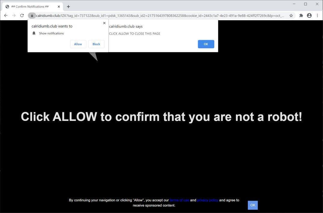 Image: Chrome browser is redirected to Calridiumb.club