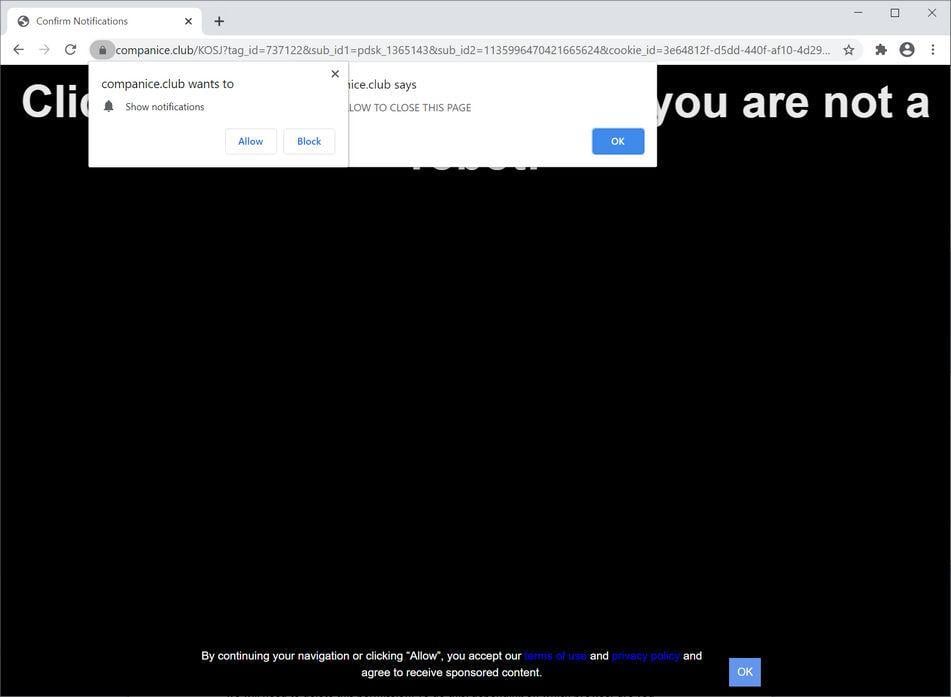 Image: Chrome browser is redirected to Companice.club