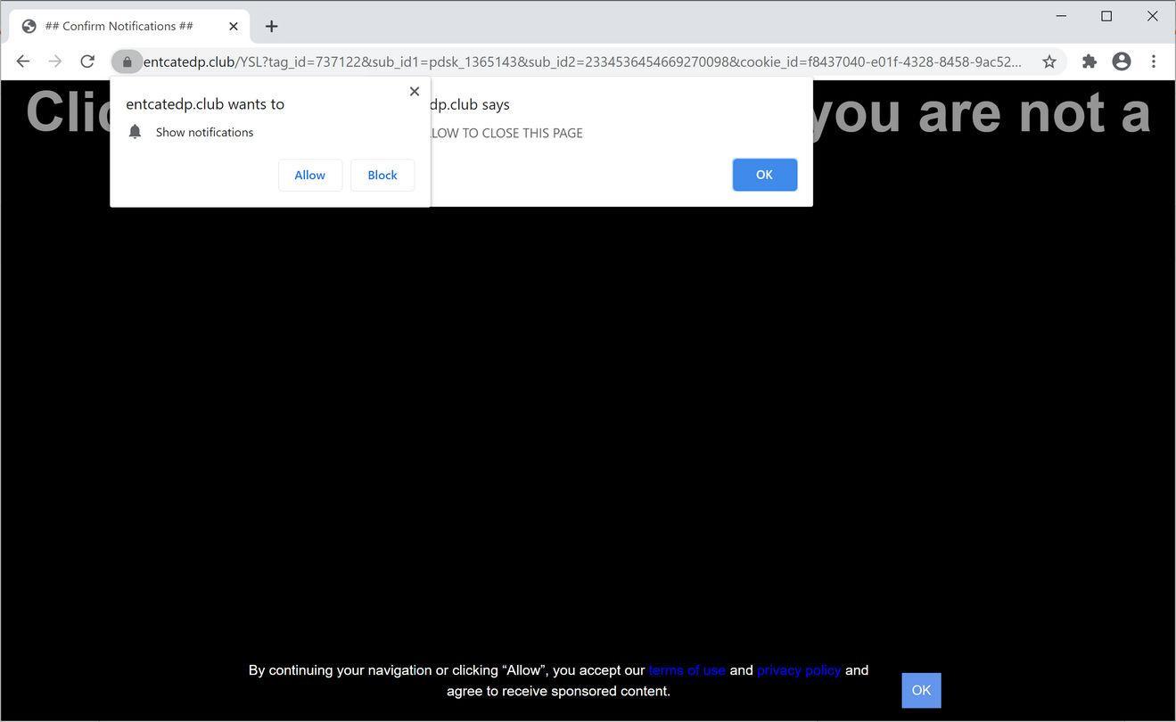 Image: Chrome browser is redirected to Entcatedp.club