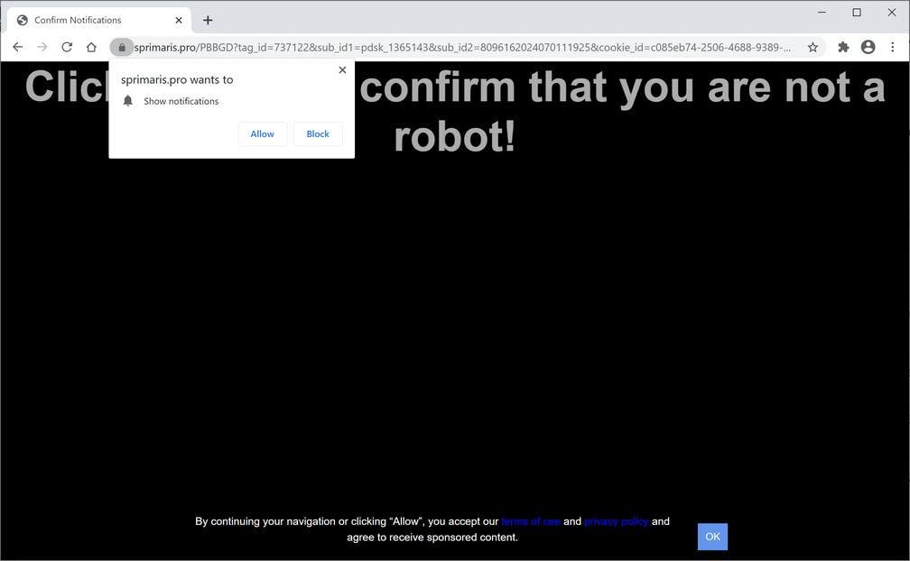 Image: Chrome browser is redirected to Sprimaris.pro