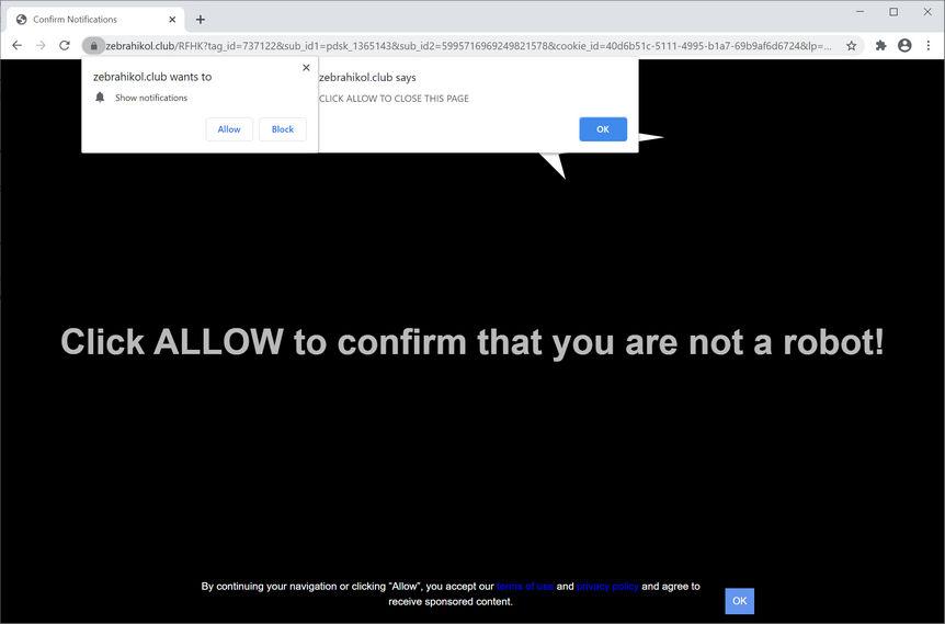Image: Chrome browser is redirected to Zebrahikol.club