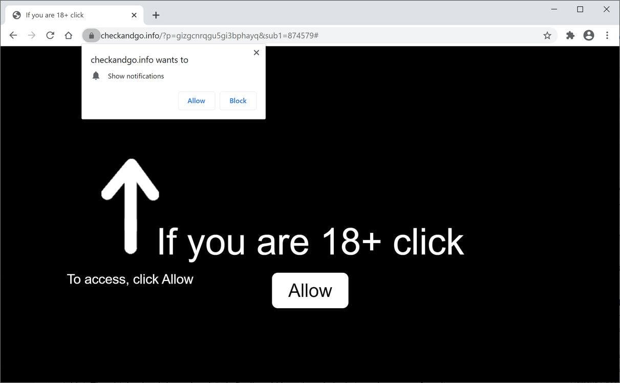 Image: Chrome browser is redirected to Checkandgo.info