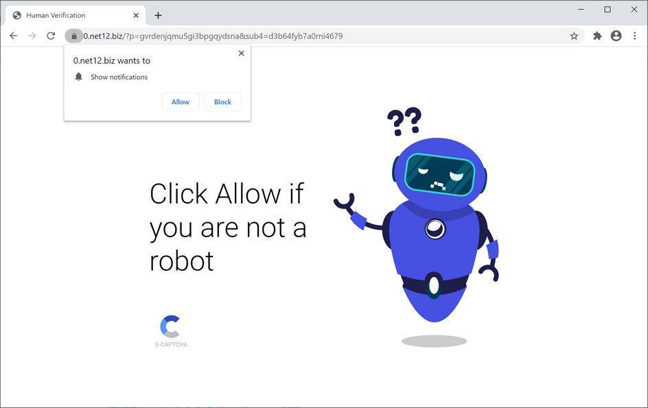 Image: Chrome browser is redirected to Net12.biz