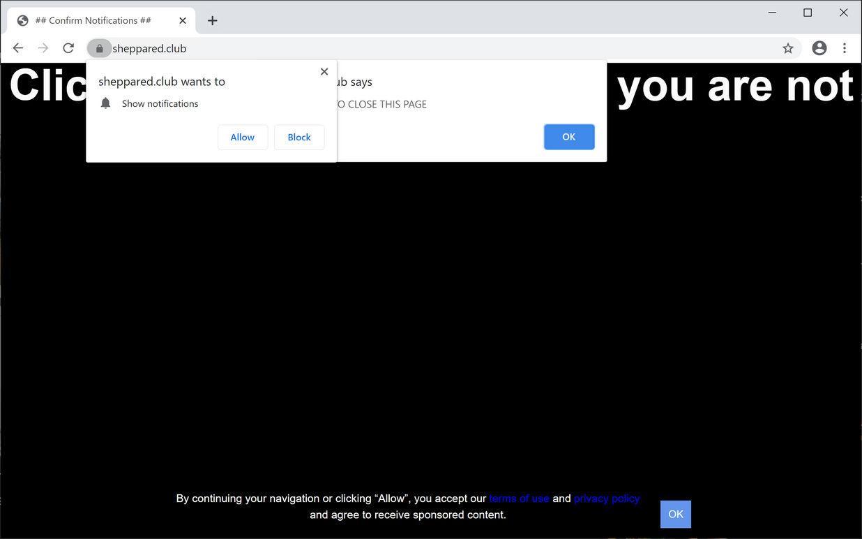 Image: Chrome browser is redirected to Sheppared.club