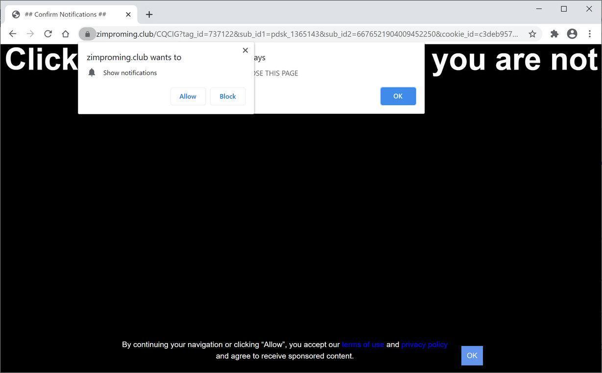 Image: Chrome browser is redirected to Zimproming.club