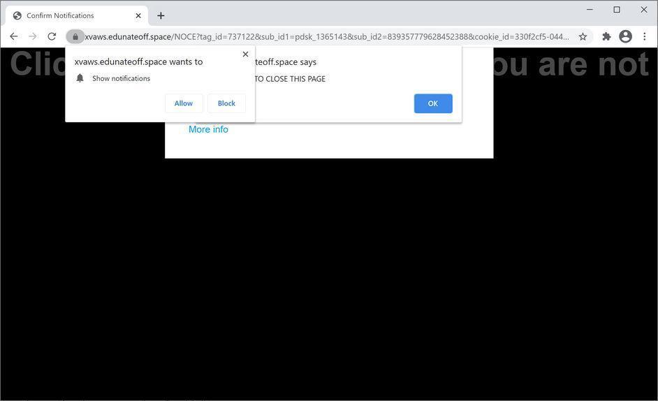Image: Chrome browser is redirected to Edunateoff.space