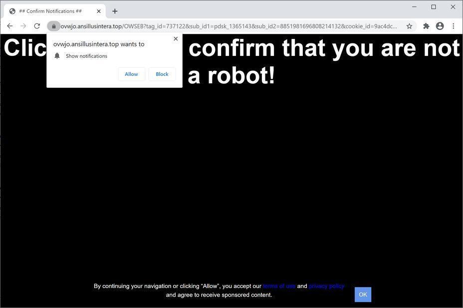 Image: Chrome browser is redirected to Ansillusintera.top