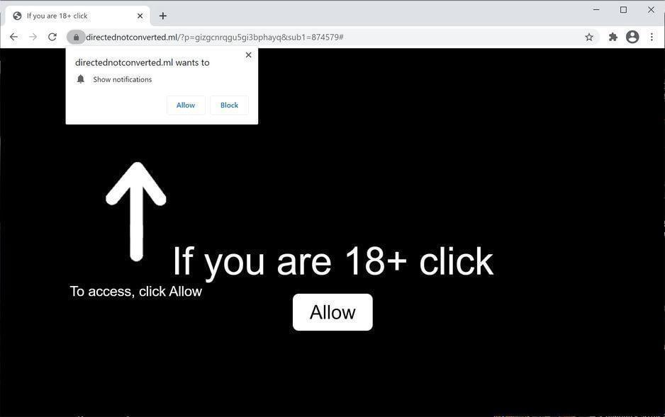 Image: Chrome browser is redirected to Directednotconverted.ml