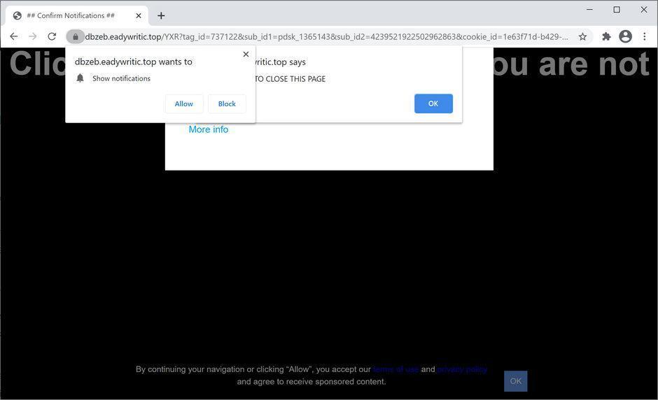 Image: Chrome browser is redirected to Eadywritic.top