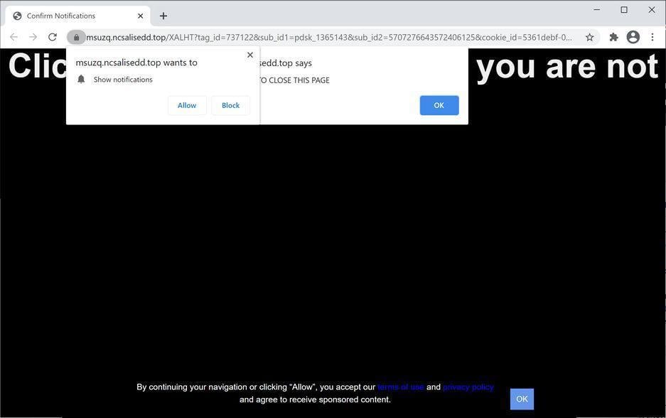 Image: Chrome browser is redirected to Ncsalisedd.top