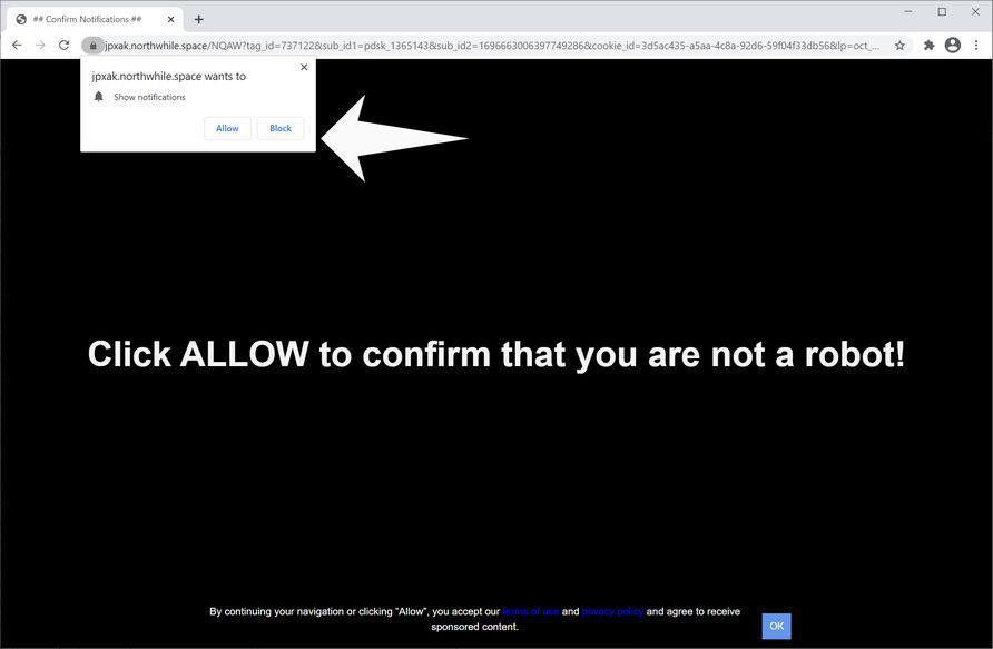 Image: Chrome browser is redirected to Northwhile.space
