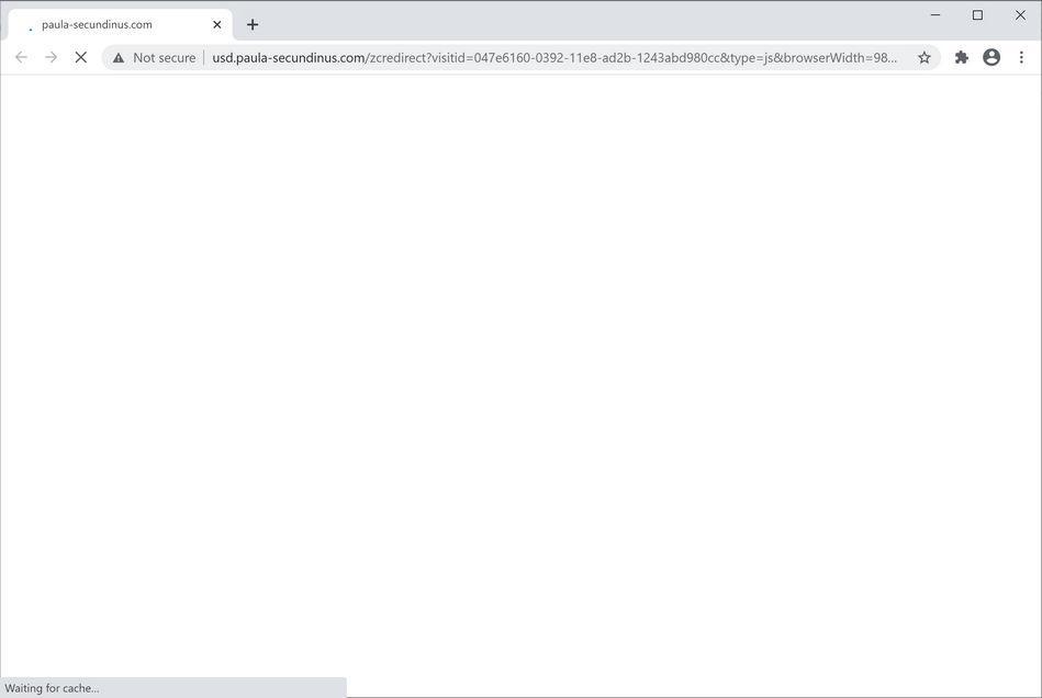 Image: Chrome browser is redirected to Usd.paula-secundinus.com
