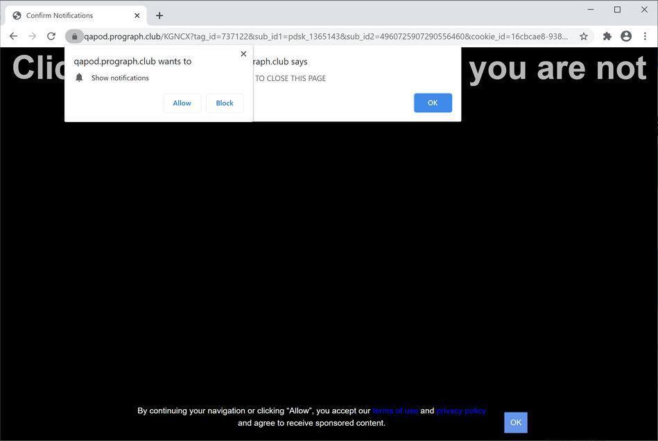 Image: Chrome browser is redirected to Prograph.club