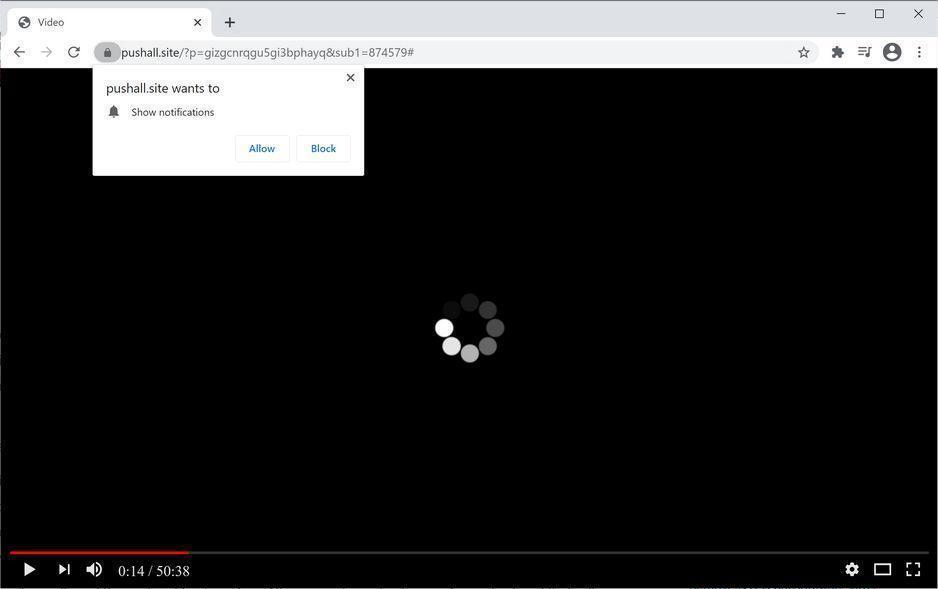 Image: Chrome browser is redirected to Pushall.site