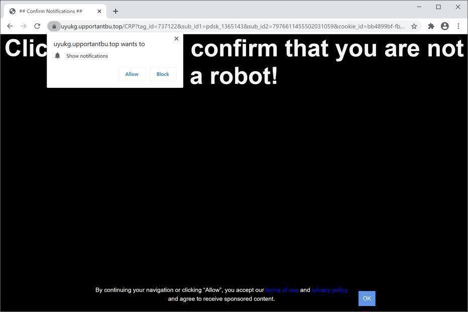 Image: Chrome browser is redirected to Upportantbu.top