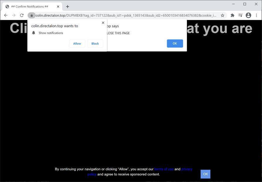 Image: Chrome browser is redirected to Directalon.top