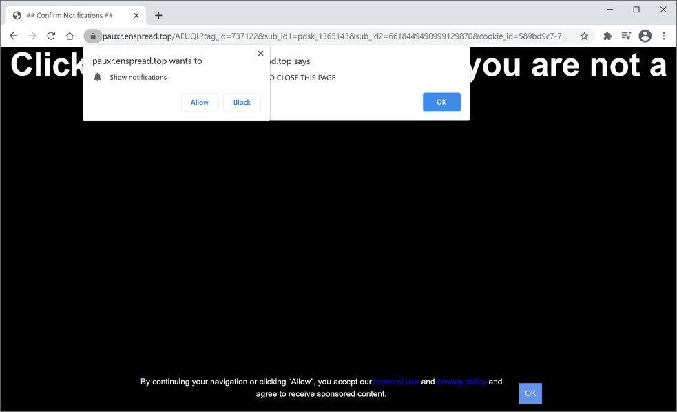 Image: Chrome browser is redirected to Enspread.top
