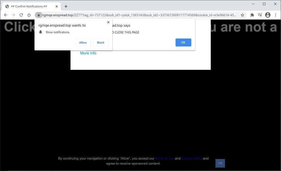 Image: Chrome browser is redirected to Enspread.top