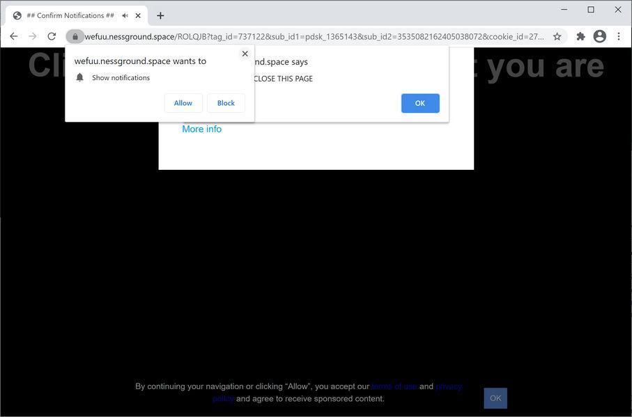 Image: Chrome browser is redirected to Nessground.space