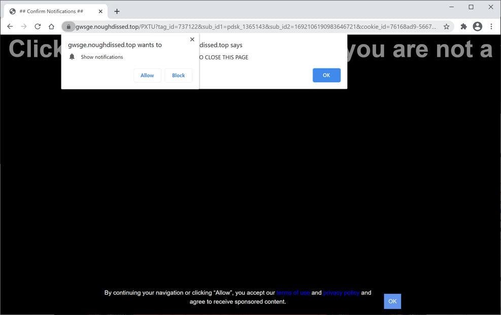 Image: Chrome browser is redirected to Noughdissed.top